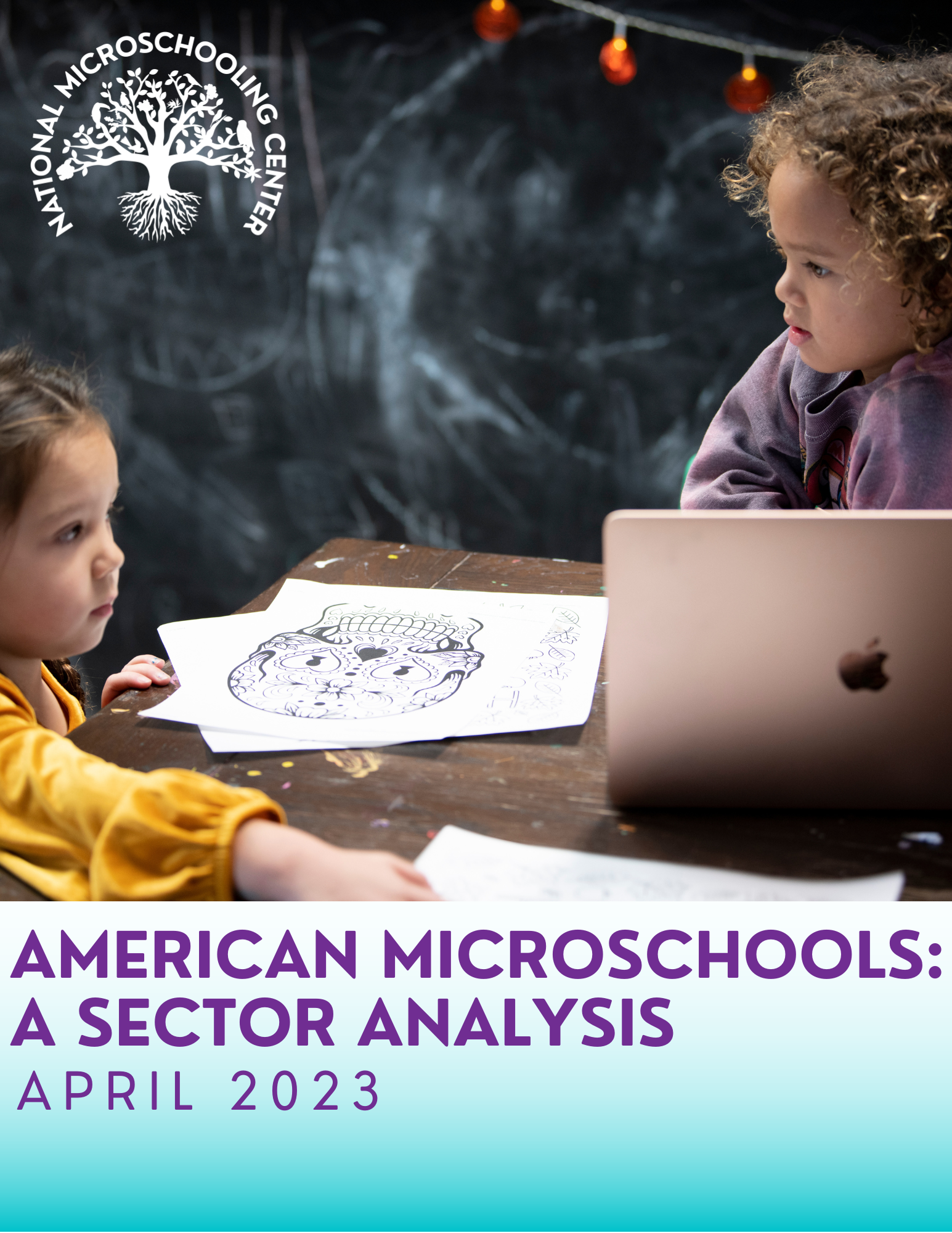 BOOKLET American Microschools A Sector Analysis