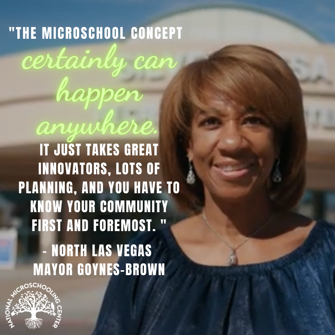 NMC The microschool concept (2)