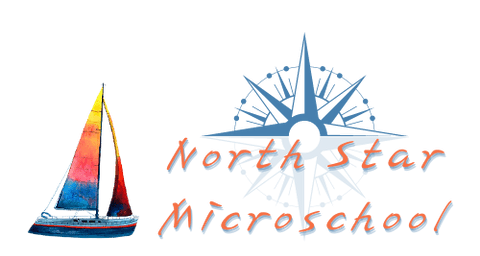 North Star Microschool LOGO