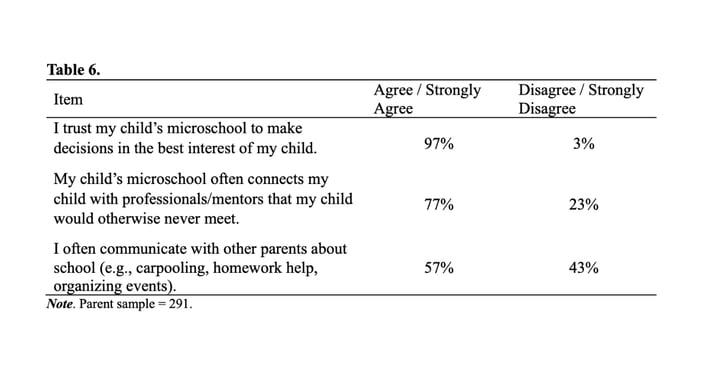 Table 6. Microschool Experience