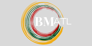 ED MT (300 x 175 px) (3)