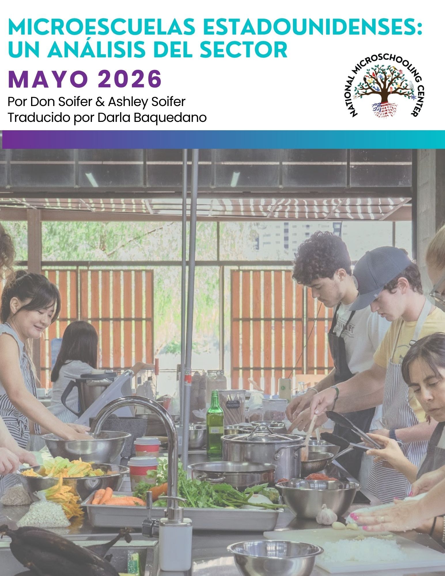 Espanol Copy of 2026 American Microschools, Sector Analysis (Final)