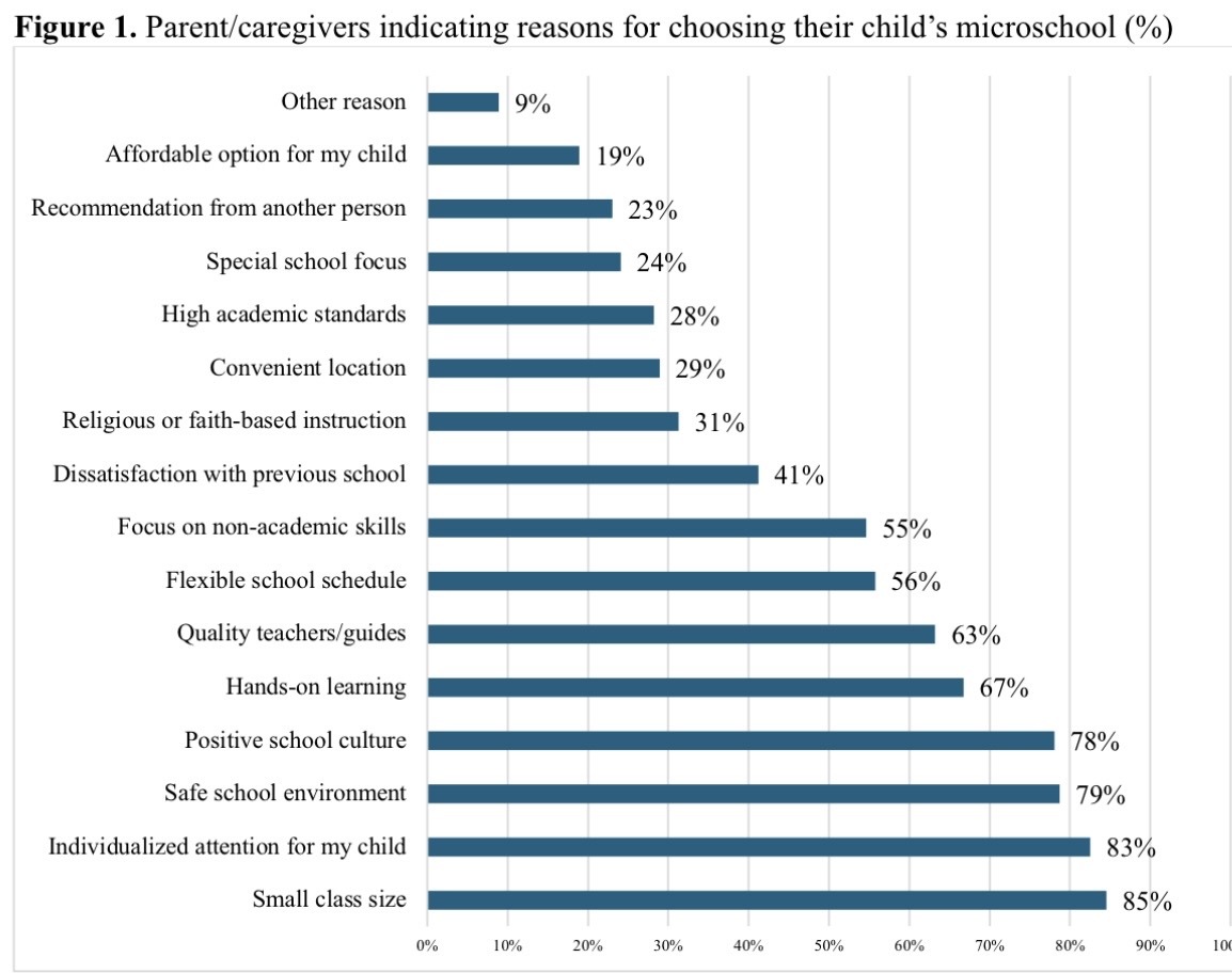 Reasons Parents Choose Their Child's Microschool